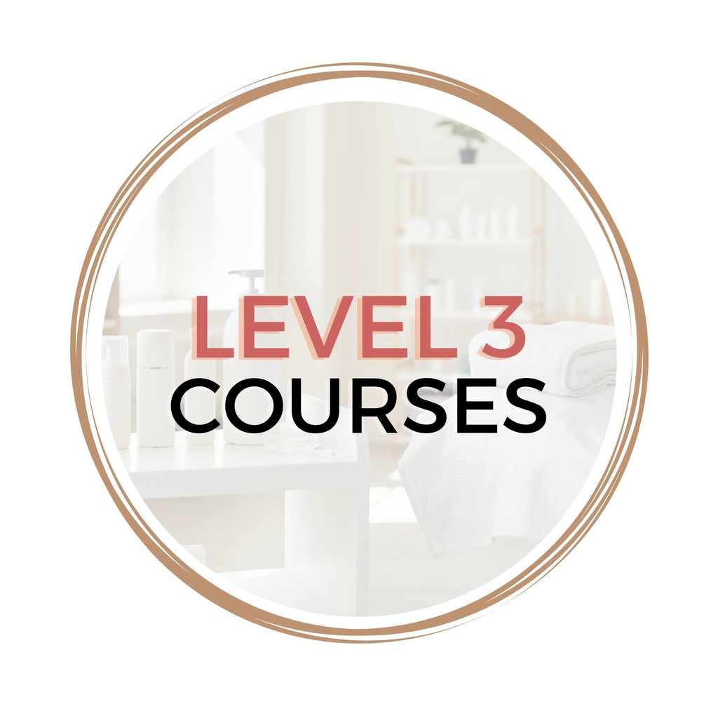 Level 3 Courses