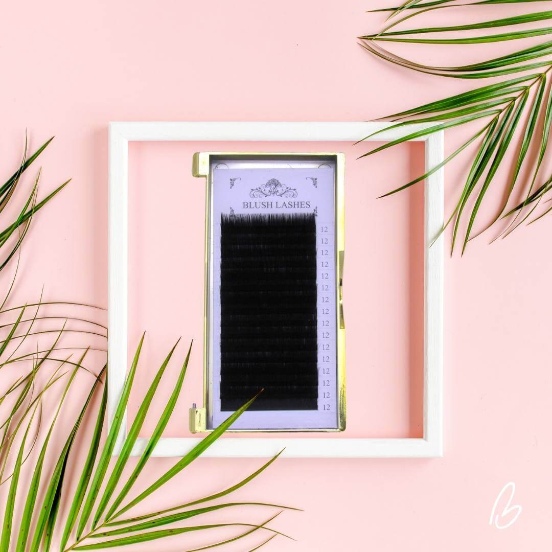 Classic Eyelash Extension Trays B CURL - SALE