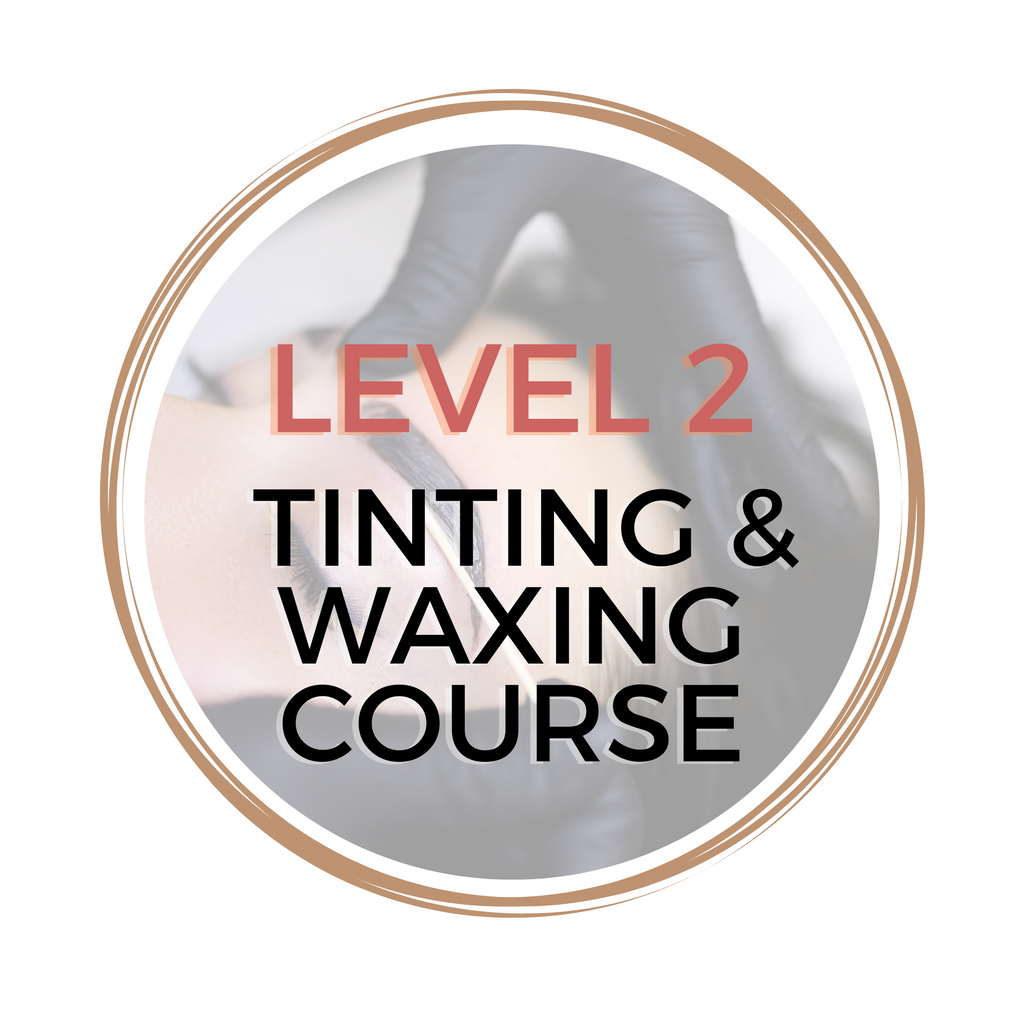 Tinting & Waxing Course