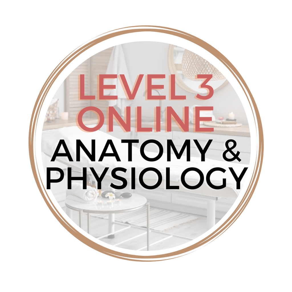 ONLINE Anatomy & Physiology Course