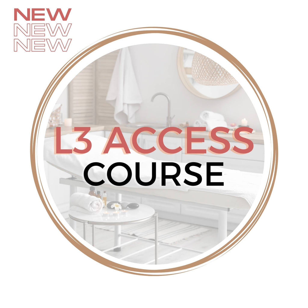 L3 Access to Aesthetics Course