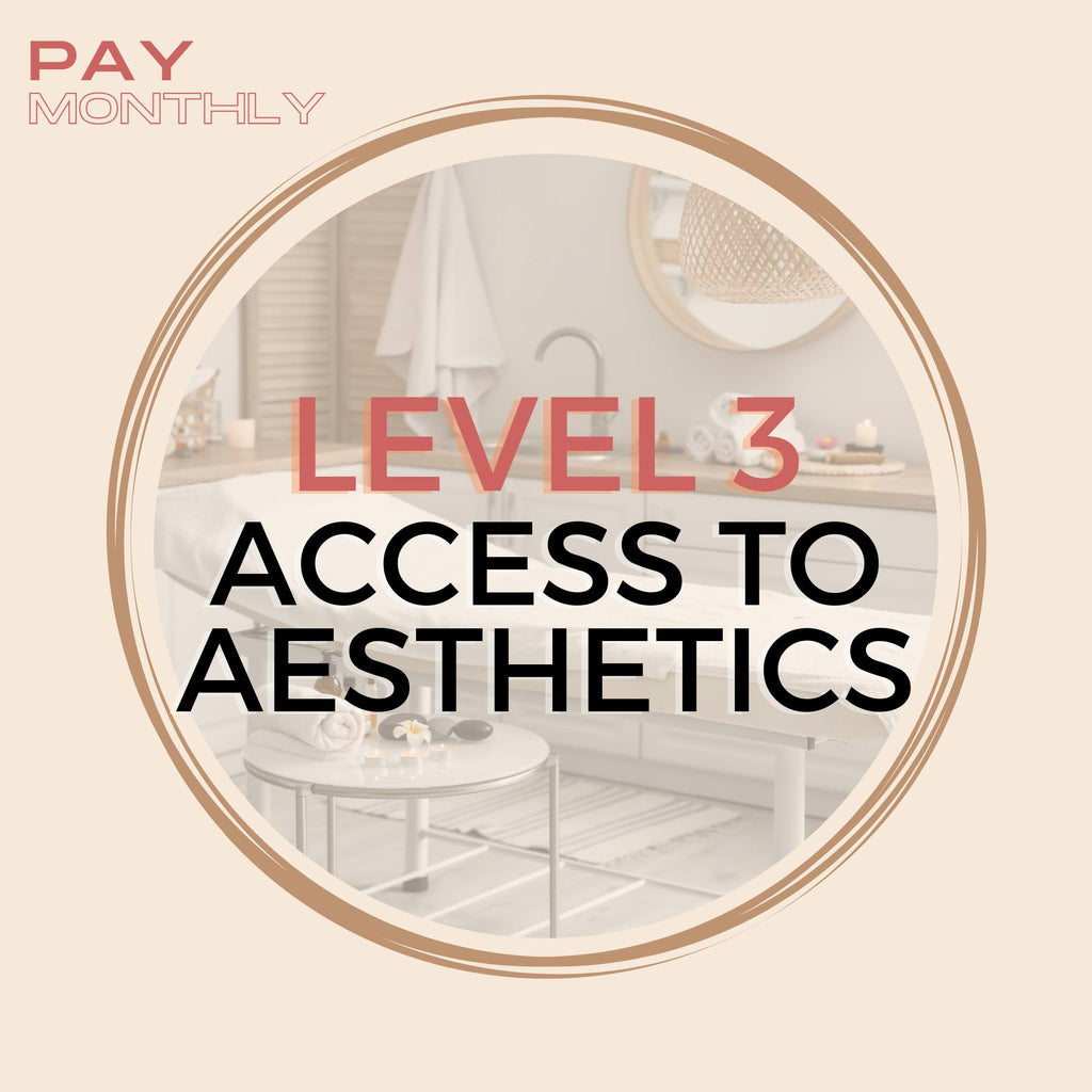 L3 Access to Aesthetics Course